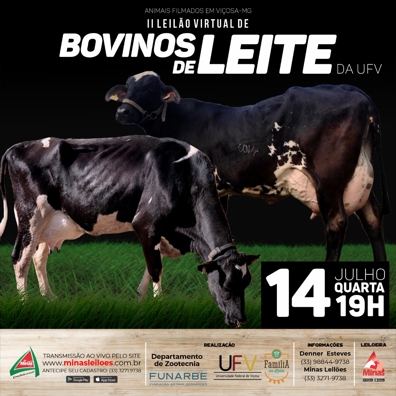 AO VIVO: III Leilão Virtual Produção Bovinos de Corte, Acompanhe o remate  que oferta 520 bovinos e 120 ovinos nesta terça-feira! Ligue na mesa  operadora e dê os seus lances!